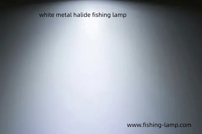 white metal halide fishing lamp